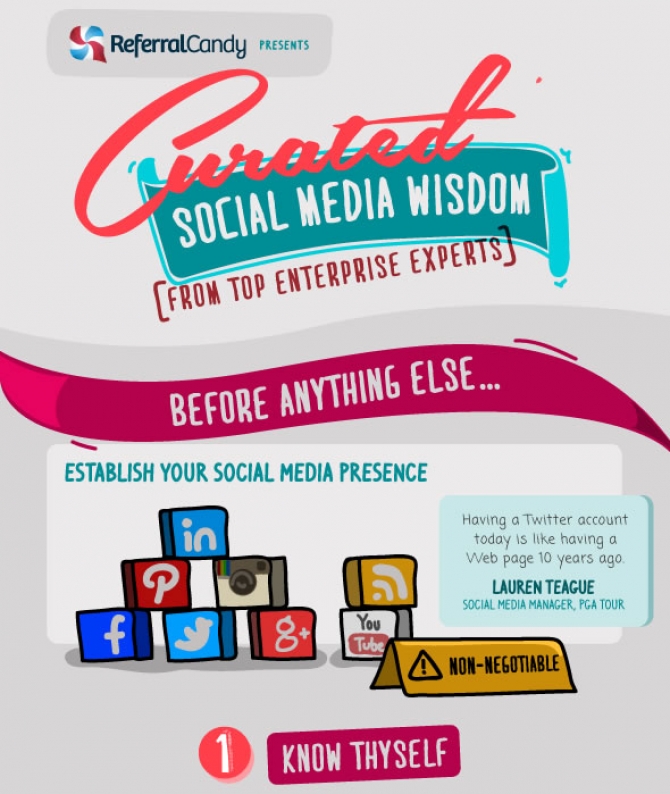 Social Media Marketing - Expertenwissen visualisiert