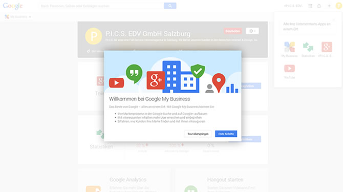 P.I.C.S. EDV - Google My Business