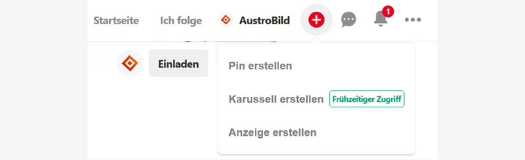 Screenshot-Pinterest-Account-AustroBild-Karussell-Pin